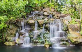 Key West Tropical Forest & Botanical Gardens