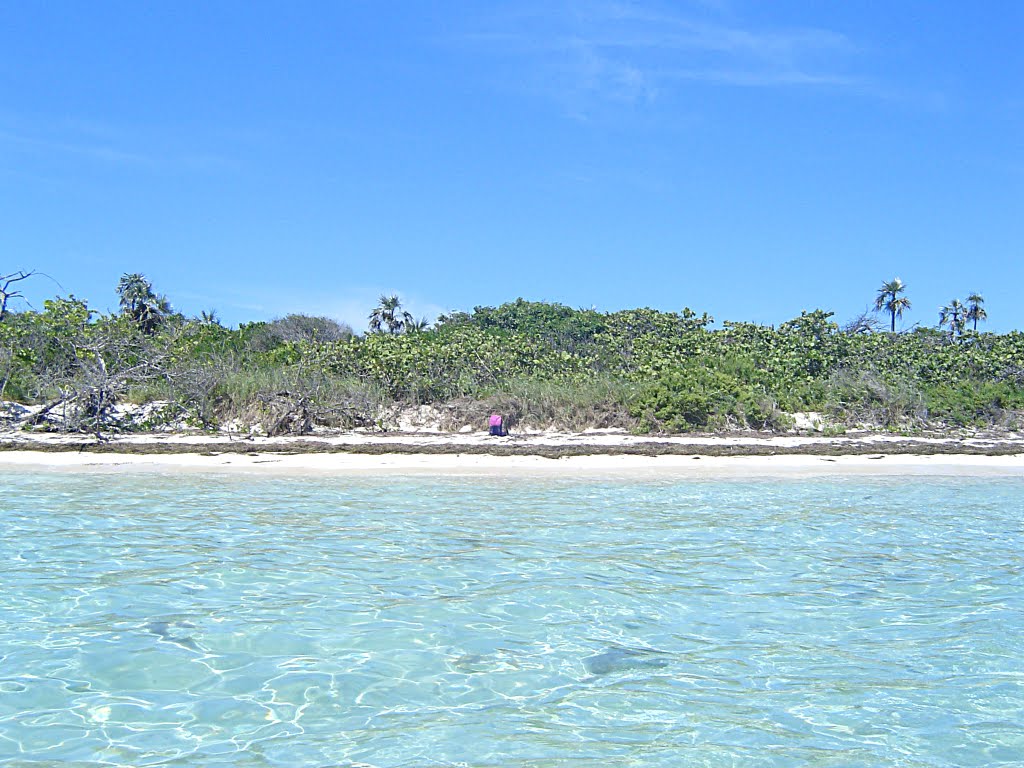 Sandspur Beach