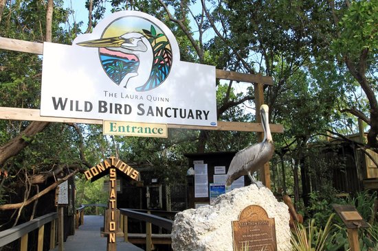 Florida Keys Wild Bird Center