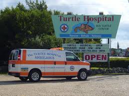 The Turtle Hospital