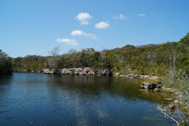Dagny Johnson Key Largo Hammock Botanical State Park