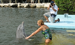 Dolphin Research Center