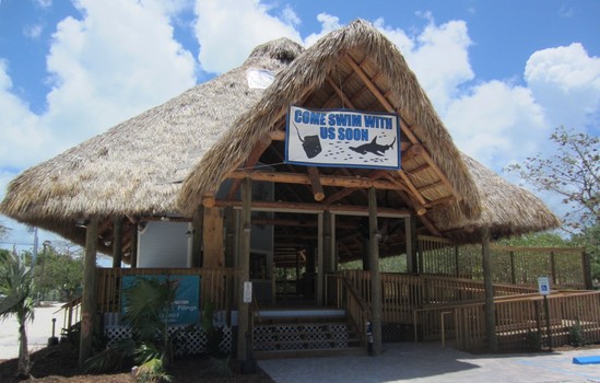 Florida Keys Aquarium Encounters