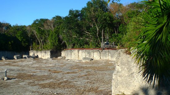 Windley Key Fossil Reef Geological State Park